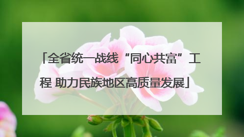 全省统一战线“同心共富”工程 助力民族地区高质量发展